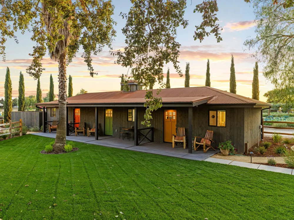 Oak trees and rolling hills