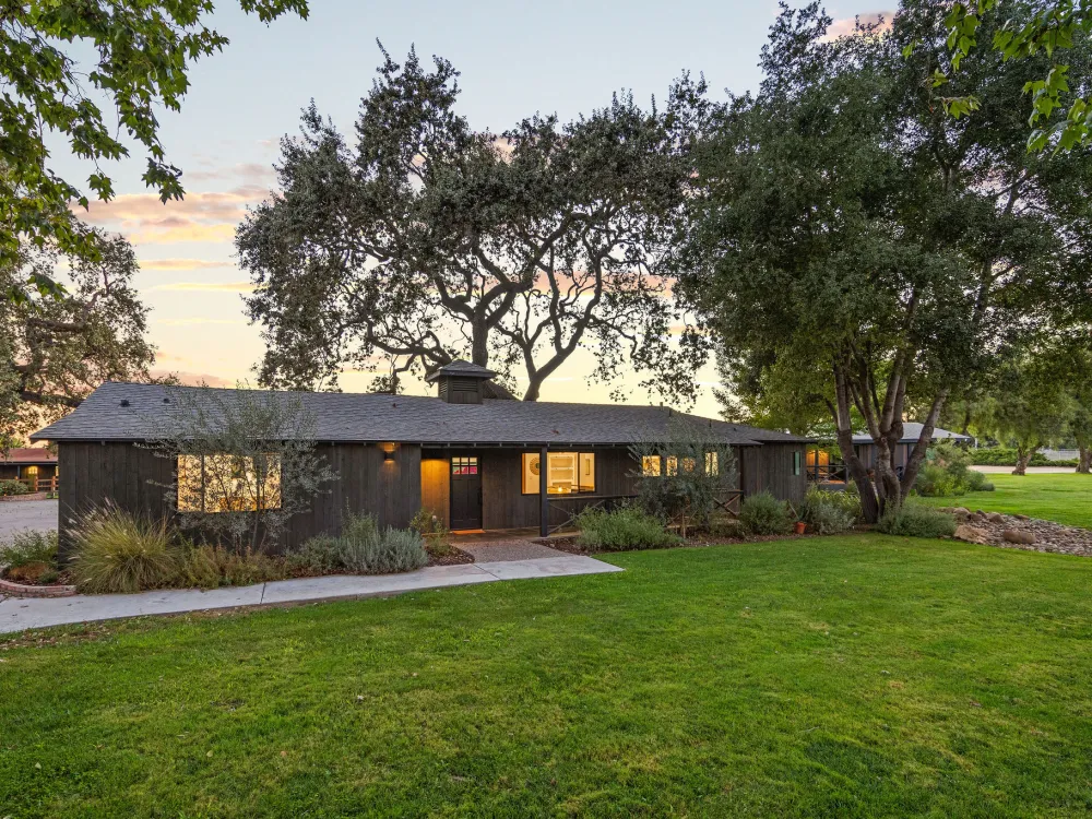 Vineyard rows at Roblar Farm