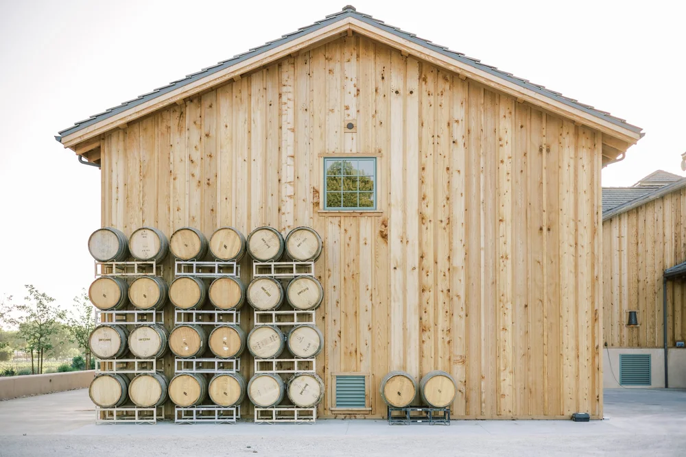 Wine glasses and vineyard view